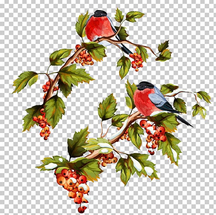 Shutterstock Illustration PNG, Clipart, Big Picture, Bird, Branch, Encapsulated Postscript, Eps Free PNG Download