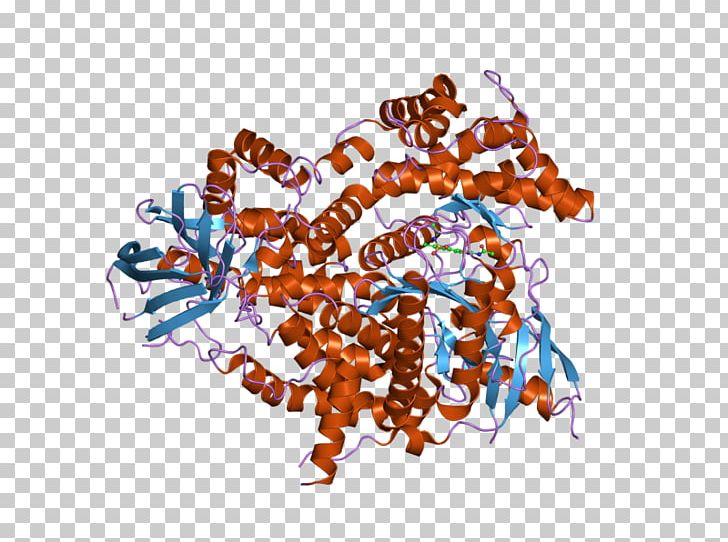 HECT Domain Wikipedia Ubiquitin UBE3A Protein PNG, Clipart, Art, Asparagine, Dnabinding Domain, Ebi, Gamma Free PNG Download