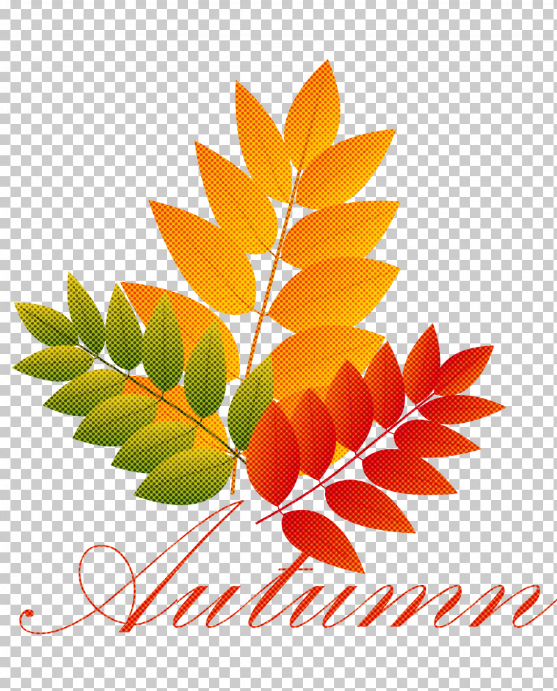 Hello Autumn Welcome Autumn Hello Fall PNG, Clipart, Cartoon, Drawing, Hello Autumn, Hello Fall, Line Art Free PNG Download