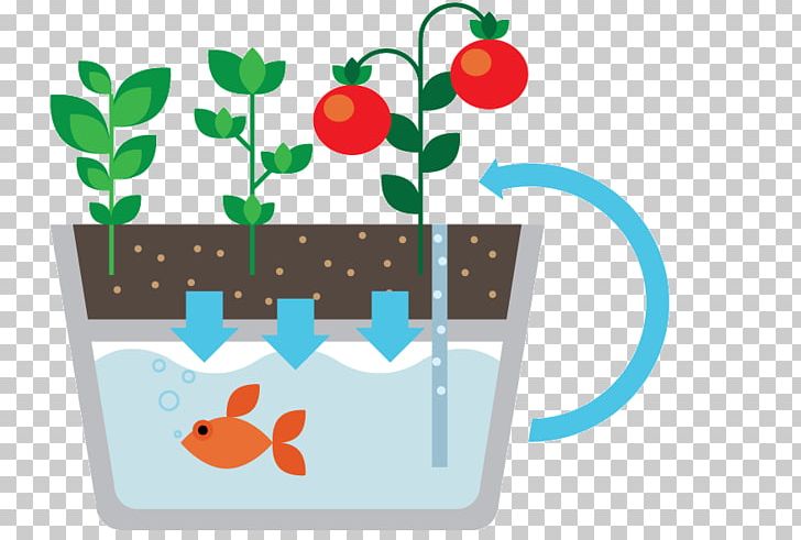 Aquaponics Market Garden Herb Hydroponics Plant PNG, Clipart, Agriculture, Aquaponics, Aquarium, Farm, Fertilisers Free PNG Download