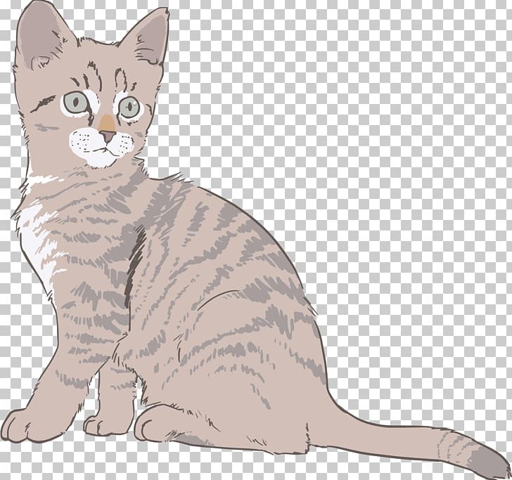 Kitten Drawing Sphynx Cat PNG, Clipart, American Shorthair, American Wirehair, Animals, Asian, Australian Mist Free PNG Download