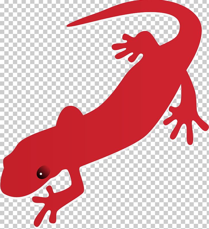 Fire Salamander Newt Free Content PNG, Clipart, Amphibian, Animal Figure, Blog, Computer, Fire Salamander Free PNG Download