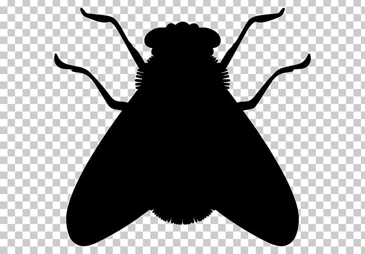 Insect Silhouette Fly Cockroach PNG, Clipart, Animals, Artwork, Black And White, Butterfly, Coc Free PNG Download