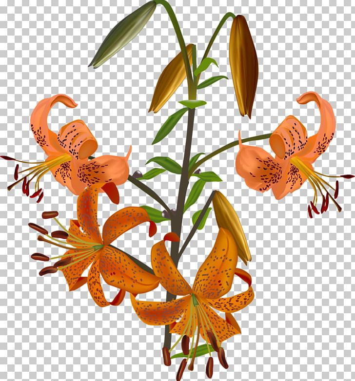 Lilium Bulbiferum Flower Bud Illustration PNG, Clipart, Cut Flowers, Flora, Floral Design, Flower, Flowering Plant Free PNG Download