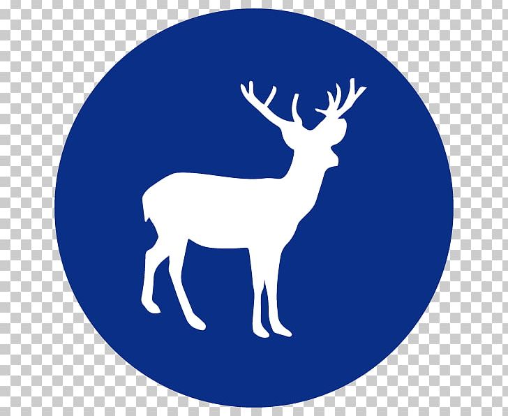 Abhayaranya PNG, Clipart, Antler, Area, Broomfield County, Cartoon, Deer Free PNG Download