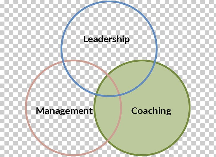 Coaching Mentorship Organization Human Resource Management PNG, Clipart, Angle, Area, Brand, Circle, Coaching Free PNG Download
