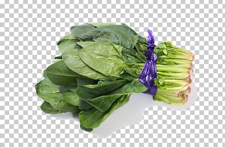 Spinach Vegetable Komatsuna Romaine Lettuce Chard PNG, Clipart, Cabbage, Choy Sum, Collard Greens, Cruciferous Vegetables, Cucumber Free PNG Download