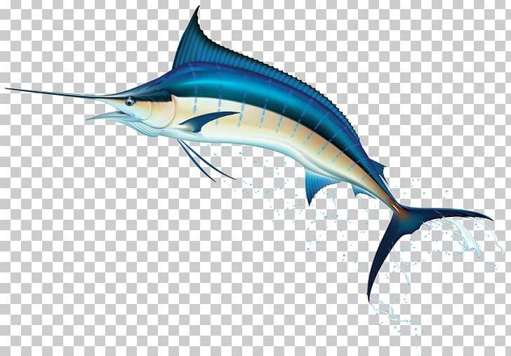 Swordfish PNG, Clipart, Animals, Atlantic Blue Marlin, Billfish, Bony Fish, Clip Art Free PNG Download
