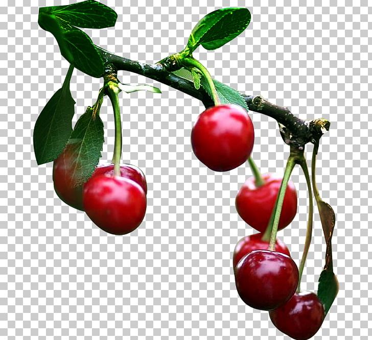 Tutti Frutti Sweet Cherry Fruit Auglis PNG, Clipart, Acerola, Acerola Family, Auglis, Berry, Cerasus Free PNG Download