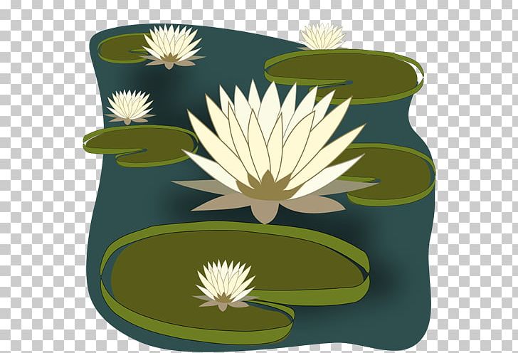 Nymphaea Alba Egyptian Lotus Lilium PNG, Clipart, Aquatic Plant, Egyptian Lotus, Flower, Free Content, Green Free PNG Download