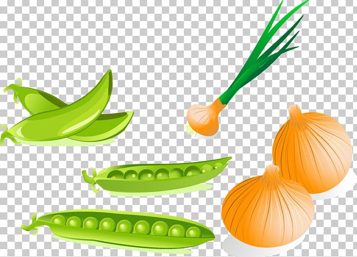 Pea Drawing Photography PNG, Clipart, Bean, Beans Vector, Euclidean Vector, Food, Fruit Free PNG Download