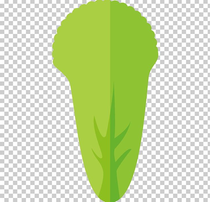 Icon PNG, Clipart, Cabbage, Cabbage Vector, Camera Icon, Encapsulated Postscript, Food Free PNG Download