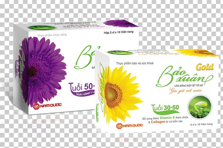 Hormone Dietary Supplement Woman Vietnam Estrogen PNG, Clipart, Brand, Collagen, Dietary Supplement, Endocrine System, Estrogen Free PNG Download
