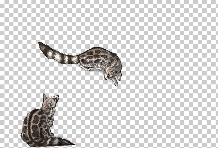 Cat Reptile Tail Wildlife PNG, Clipart, Afis, Animals, Carnivoran, Cat, Cat Like Mammal Free PNG Download