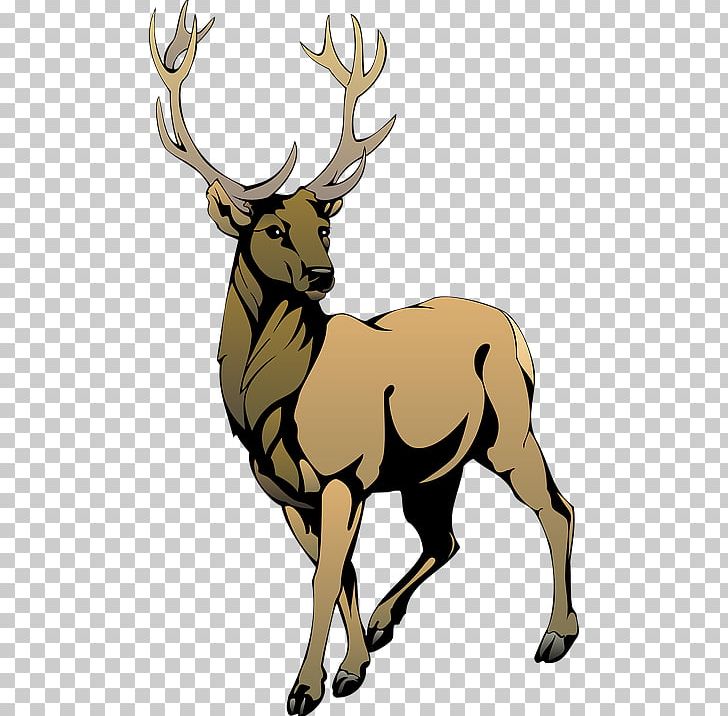 Reindeer PNG, Clipart, Animals, Antler, Art, Blog, Christmas Free PNG Download