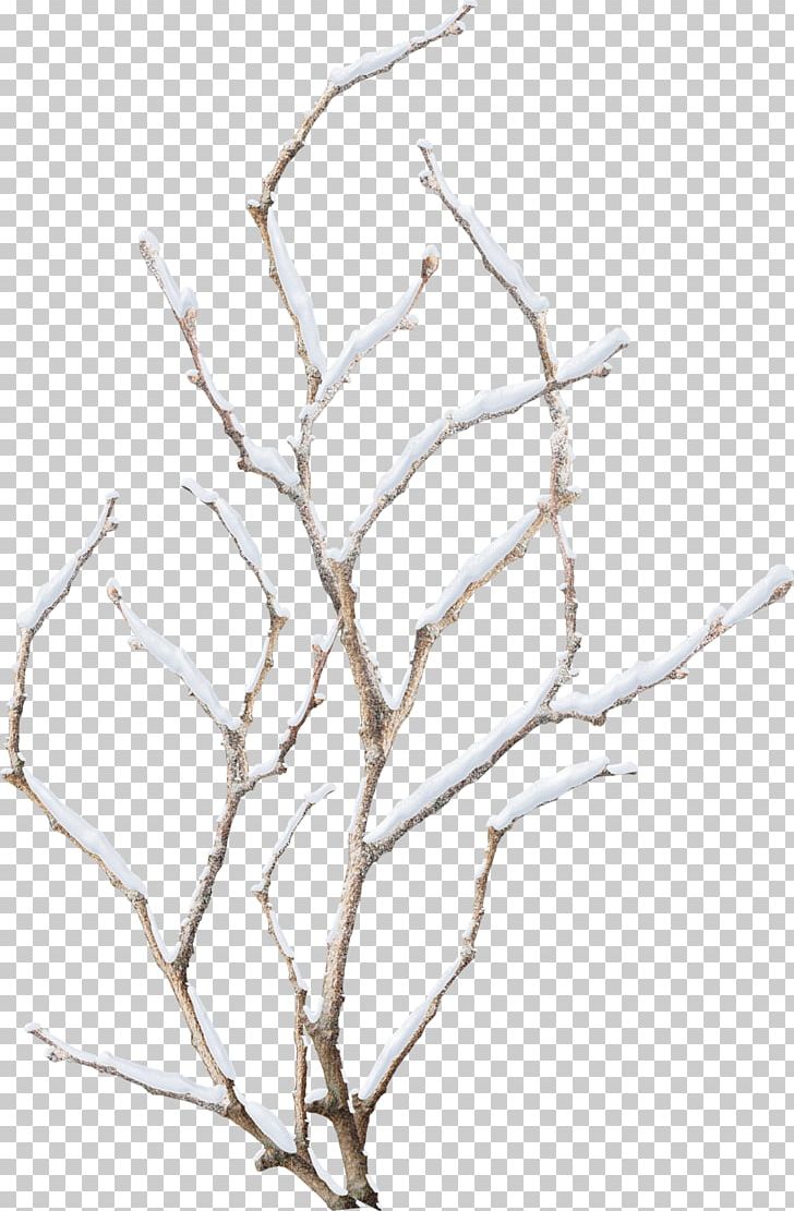 Snowflake Winter Branch PNG, Clipart, Branch, Branches, Deadwood, Euclidean Vector, Flower Free PNG Download