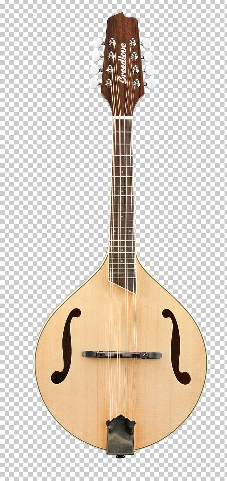 Ukulele Mandolin Breedlove Guitars Violin PNG, Clipart, Acoustic Electric Guitar, Acousticelectric Guitar, Acoustic Guitar, Arch, Banjo Free PNG Download