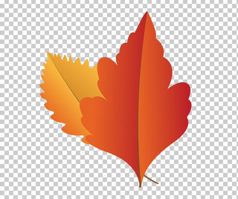 Maple Leaf PNG, Clipart, Autumn Leaf, Biology, Cartoon Leaf, Computer, Fall Leaf Free PNG Download