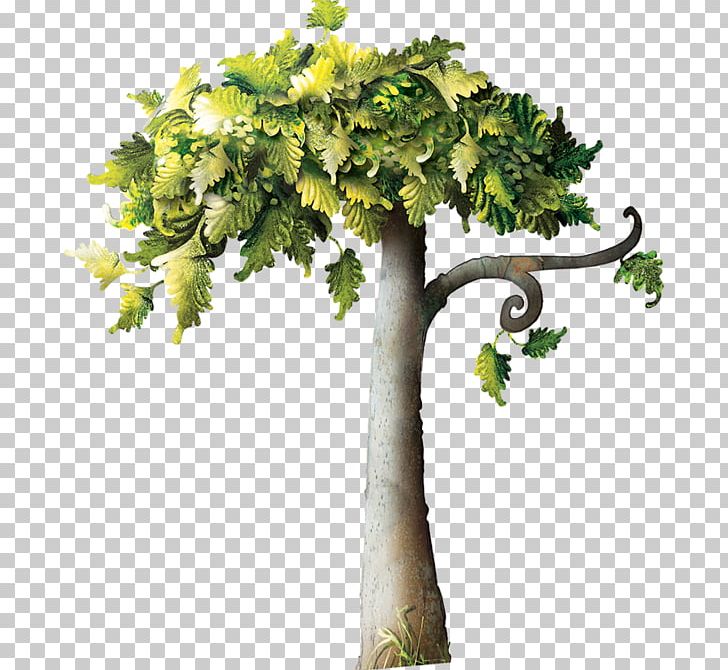 Branch Tree Pine Batwrka PNG, Clipart, Batwrka, Branch, Clover, Diwani, Flower Free PNG Download