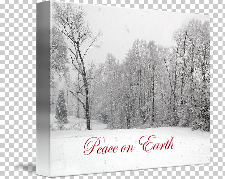 Frames Tree Blizzard Entertainment PNG, Clipart, Black And White, Blizzard, Blizzard Entertainment, Freezing, Frost Free PNG Download