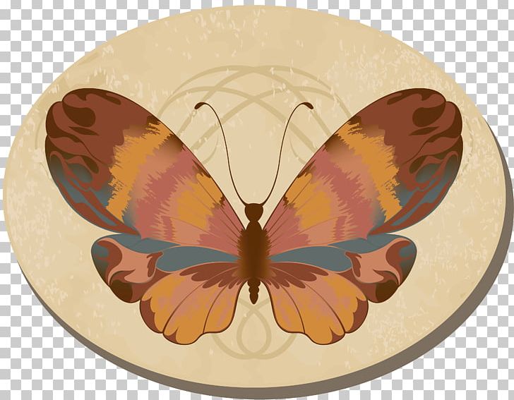Monarch Butterfly Moth Brush-footed Butterflies PNG, Clipart, Ansichtkaart, Arthropod, Brush Footed Butterfly, Butterfly, Chrysanthemum Free PNG Download