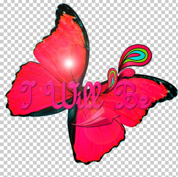 Monarch Butterfly Pink M Blue PNG, Clipart, Blue, Butterfly, Insect, Insects, Invertebrate Free PNG Download