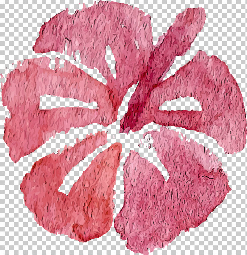 Pink Plant Flower Petal PNG, Clipart, Flower, Petal, Pink, Plant, Watercolor Flower Free PNG Download