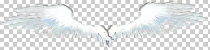 Angel Feather Neck Font PNG, Clipart, Angel, Angels Wings, Angel Wing, Angel Wings, Chicken Wings Free PNG Download