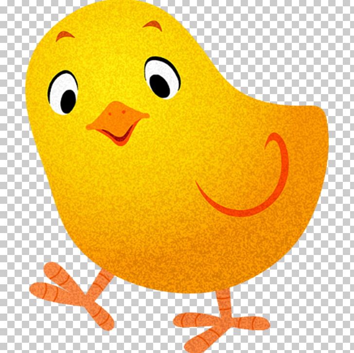 Chicken Sticker Child Drawing PNG, Clipart, Adhesive, Beak, Bird, Chicken, Chicken As Food Free PNG Download
