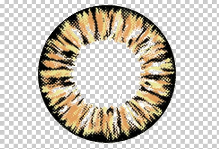 Circle Contact Lens Brown Contact Lenses Color PNG, Clipart, Base Curve Radius, Blue, Brown, Circle, Circle Contact Lens Free PNG Download