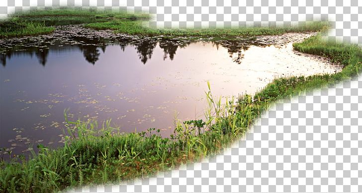 Lake Stream PNG, Clipart, Bank, Chinese Style, Creative Artwork, Creative Background, Creative Garden Free PNG Download