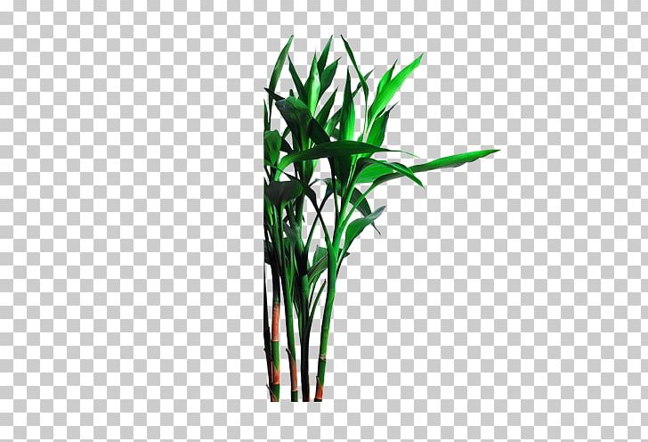 Bamboo Bamboe Icon PNG, Clipart, Bamboe, Bamboo Border, Bamboo Element, Bamboo Frame, Bamboo Leaf Free PNG Download