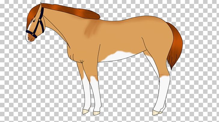 Foal Mane Mare Stallion Colt PNG, Clipart, Animal Figure, Bridle, Cartoon, Colt, Foal Free PNG Download