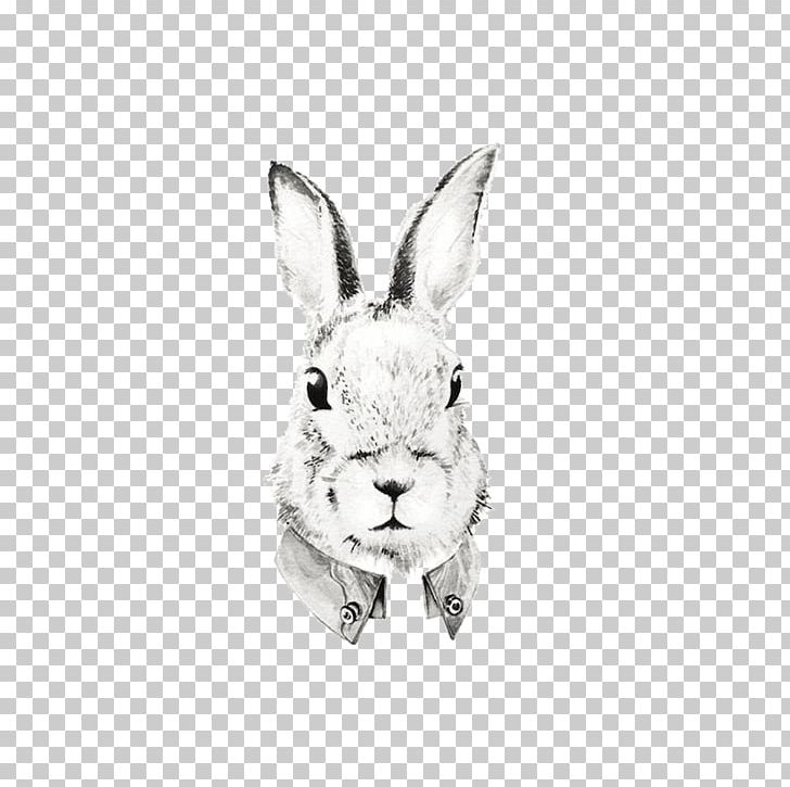 Domestic Rabbit Watercolor Painting Portrait Drawing Illustration PNG, Clipart, Animal, Animals, Art, Black And White, Cartoon Rabbit Free PNG Download