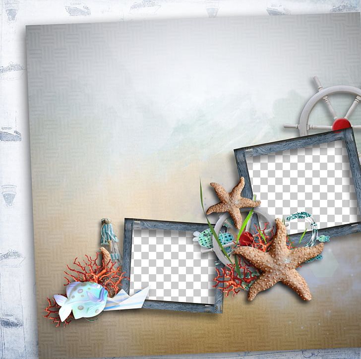 Frame Starfish Paper PNG, Clipart, Animals, Border Frame, Branches And Leaves, Bricolage, Canvas Free PNG Download