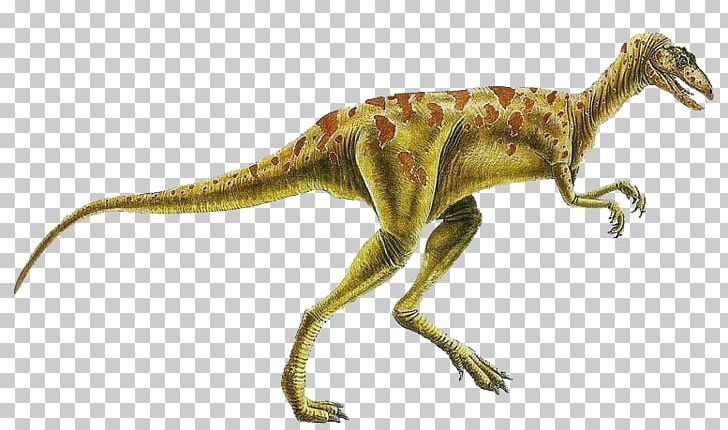 Herrerasaurus Staurikosaurus Eoraptor Lunensis Coelophysis Placerias PNG, Clipart, Ancient, Archosaur, Become, Become Extinct, Biological Free PNG Download