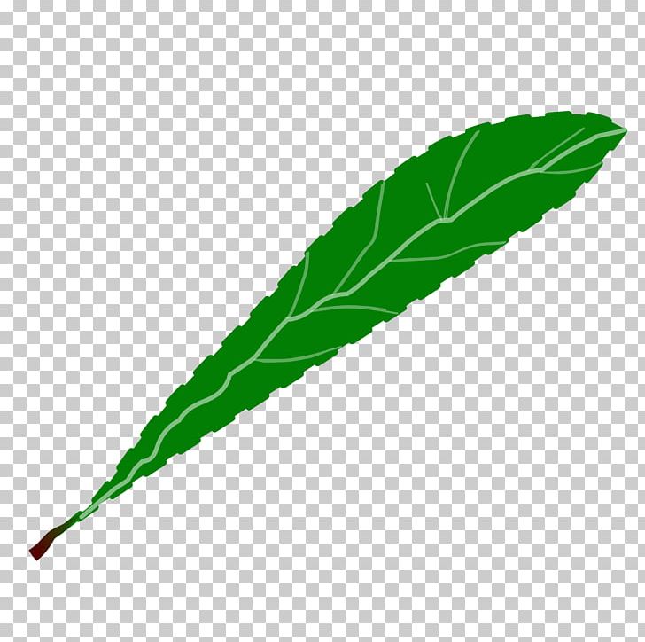 Leaf Green Petal PNG, Clipart, Branch, Flower, Grass, Green, Green Leaves Free PNG Download