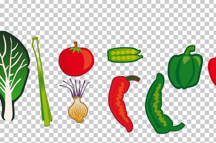 Leaf Vegetable Food PNG, Clipart, Bell Peppers And Chili Peppers, Cayenne Pepper, Celery, Chili Pepper, Food Free PNG Download