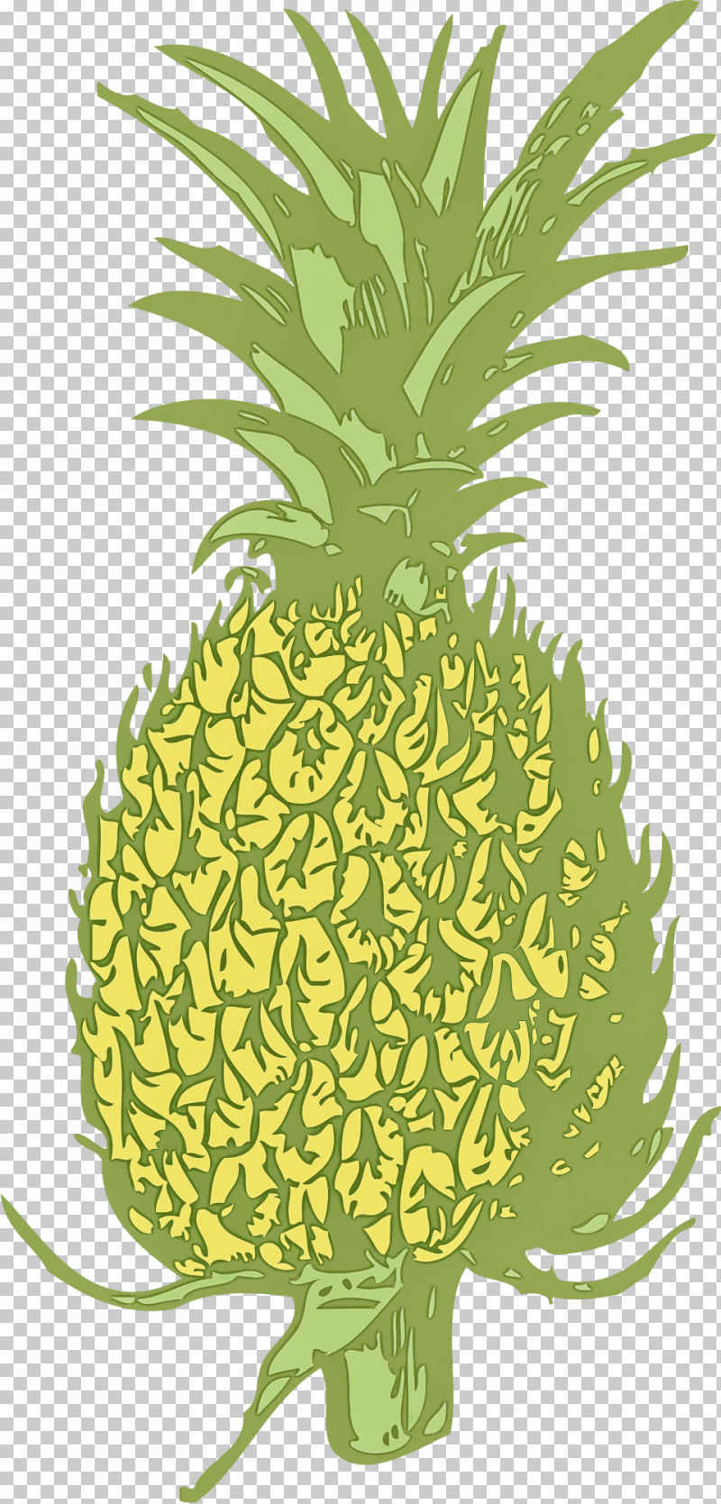 pineapple tree clipart