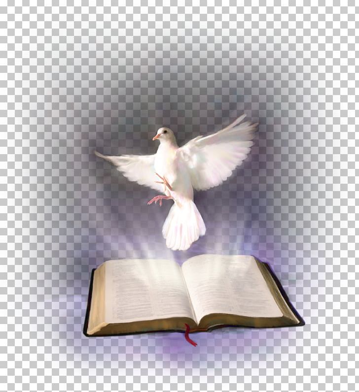 Bible Holy Spirit In Christianity Religious Text PNG, Clipart, Angel, Anointing, Apostle, Baptism With The Holy Spirit, Beak Free PNG Download