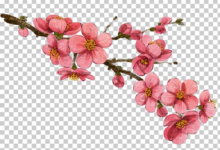 China Flower Drawing Illustration PNG, Clipart, Art, Blossom, Botanical Illustration, Branch, Cherry Blossom Free PNG Download