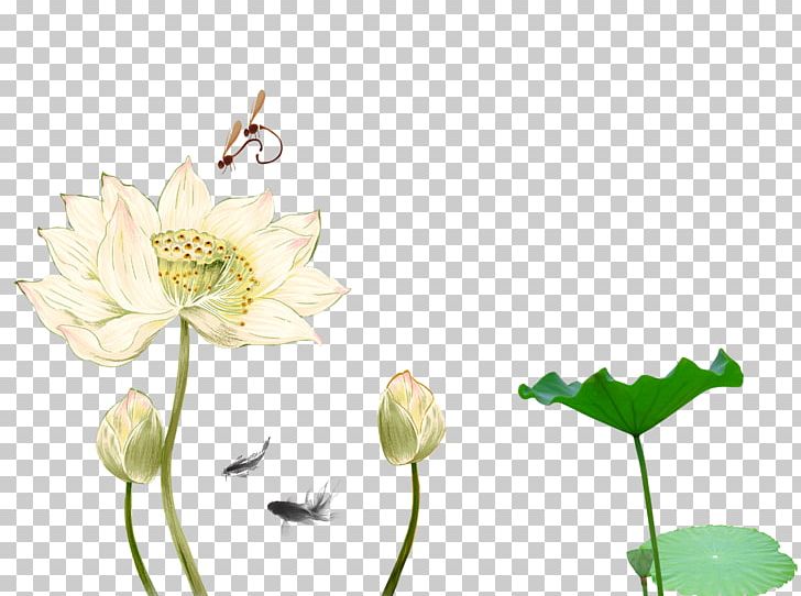 Ink Wash Painting Nelumbo Nucifera PNG, Clipart, Art, Bud, Cut Flowers, Download, Flora Free PNG Download