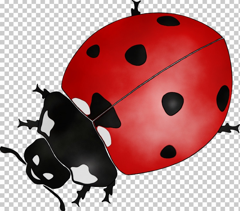 Beetles Ladybird Beetle Marinette Dupain-cheng Adrien Agreste Watercolor Painting PNG, Clipart, Adrien Agreste, Animation, Beetles, Insect, Ladybird Beetle Free PNG Download
