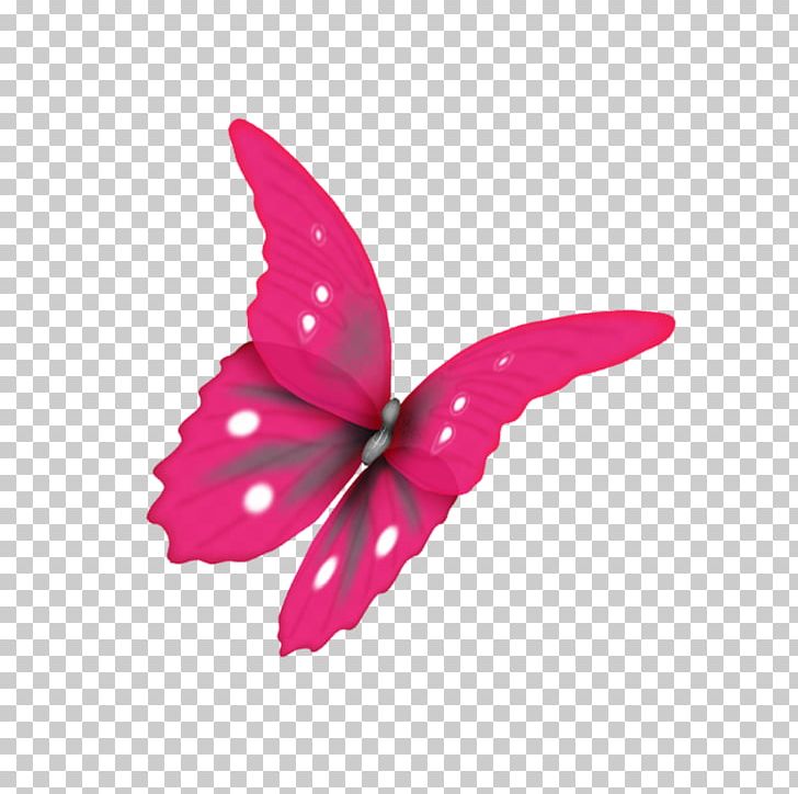 Butterfly Moth PhotoScape PNG, Clipart, Animal, Butterflies, Butterfly, Drawing, Flower Free PNG Download