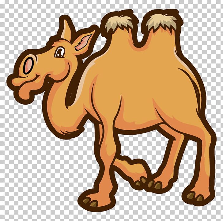 Dromedary Horse Animal Mammal PNG, Clipart, Animal, Animal Figure, Animals, Arabian Camel, Camel Free PNG Download