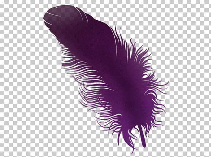 Feather Paper Color PNG, Clipart, Animaatio, Animals, Color, Desktop Wallpaper, Download Free PNG Download