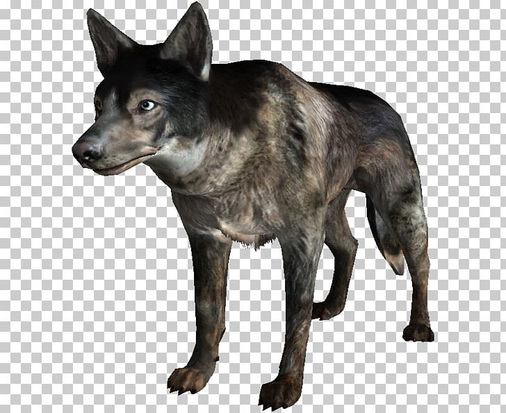 Kunming Wolfdog Fallout 3 Fallout: New Vegas Saarloos Wolfdog Fallout 2 PNG, Clipart, Carnivoran, Czechoslovakian Wolfdog, Dog, Dog Breed, Dog Like Mammal Free PNG Download