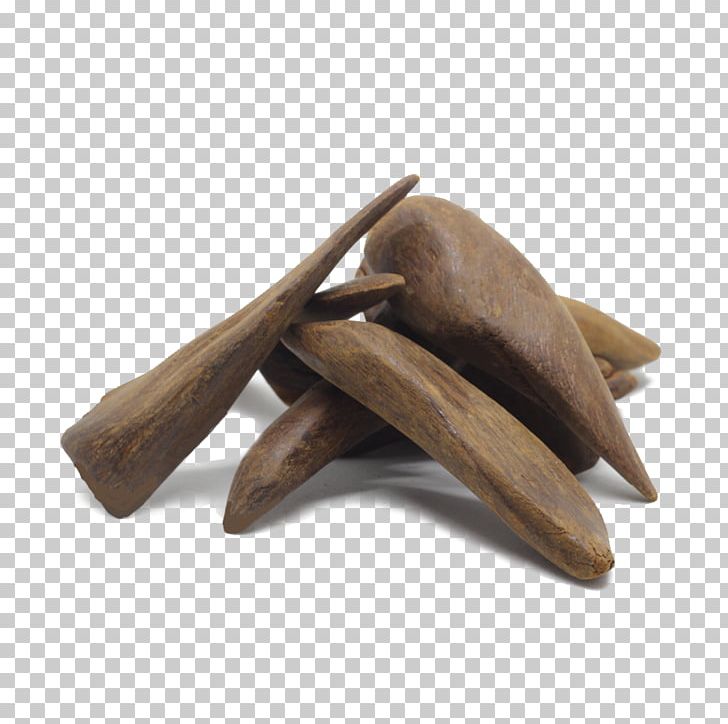 Aquilaria Malaccensis Agarwood Oud Bukhoor Incense PNG, Clipart, Agarwood, Aquilaria, Aquilaria Malaccensis, Bukhoor, Fat Free PNG Download