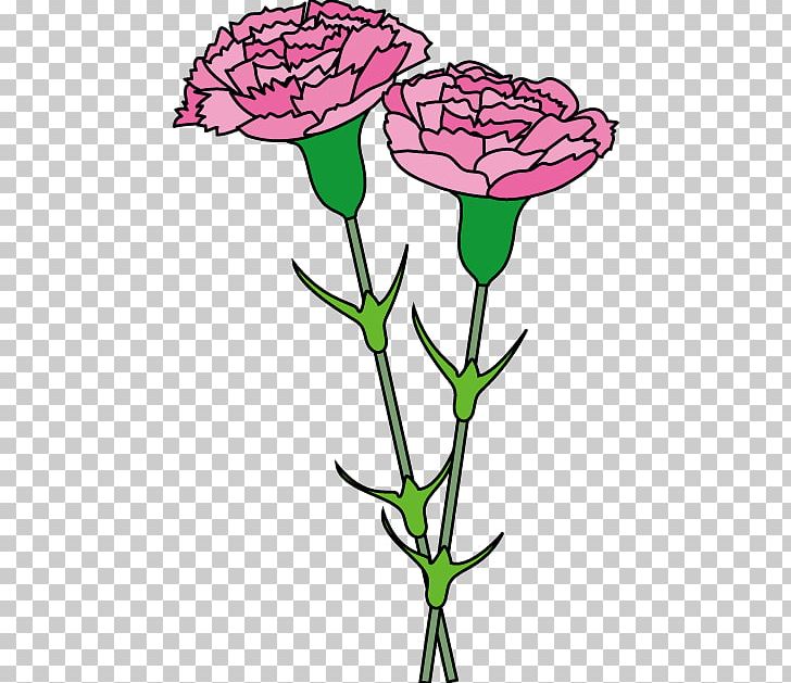 Carnation Free Content PNG, Clipart, 4shared, Artwork, Carnation, Carnation Cliparts, Cut Flowers Free PNG Download