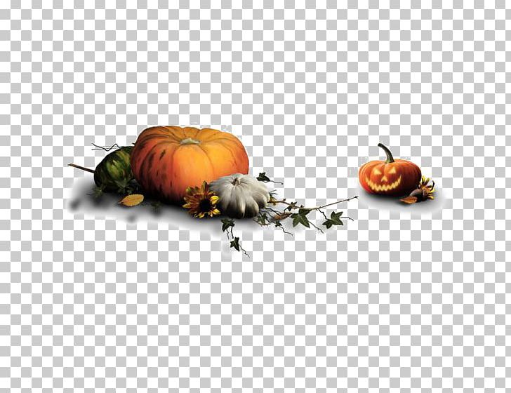 Halloween Costume Jack-o-lantern Boszorkxe1ny PNG, Clipart, Cartoon, Chinese Lantern, Computer Wallpaper, Costume, Creative Free PNG Download